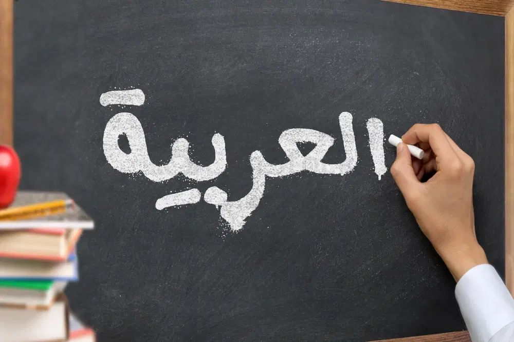 لطفا راهنمایی کنید|فعالیت داوطلبانه|تهران, لویزان|دیوار