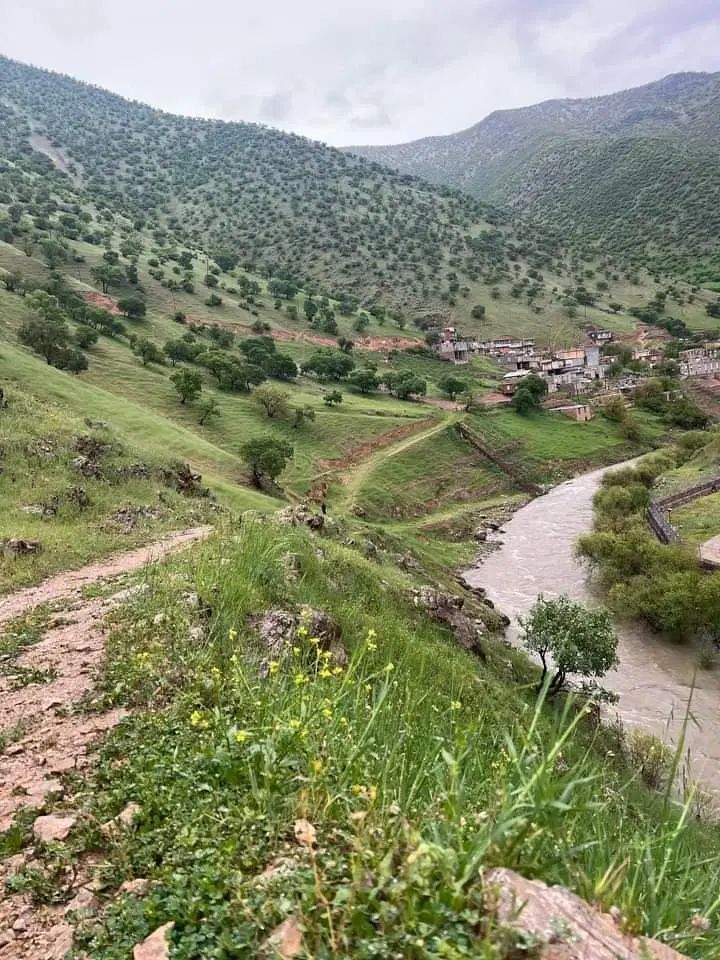 تور شمال حرکت از تهران و کرج ثبت نام محدود|تور و چارتر|کرج, گلستان|دیوار