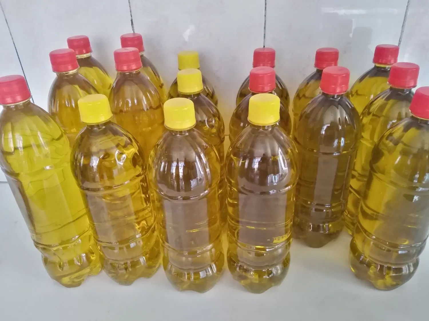 فروش روغن زیتون بدون بو و با بو و عسل درجه 1|عمده‌فروشی|محمدشهر, محمدشهر|دیوار