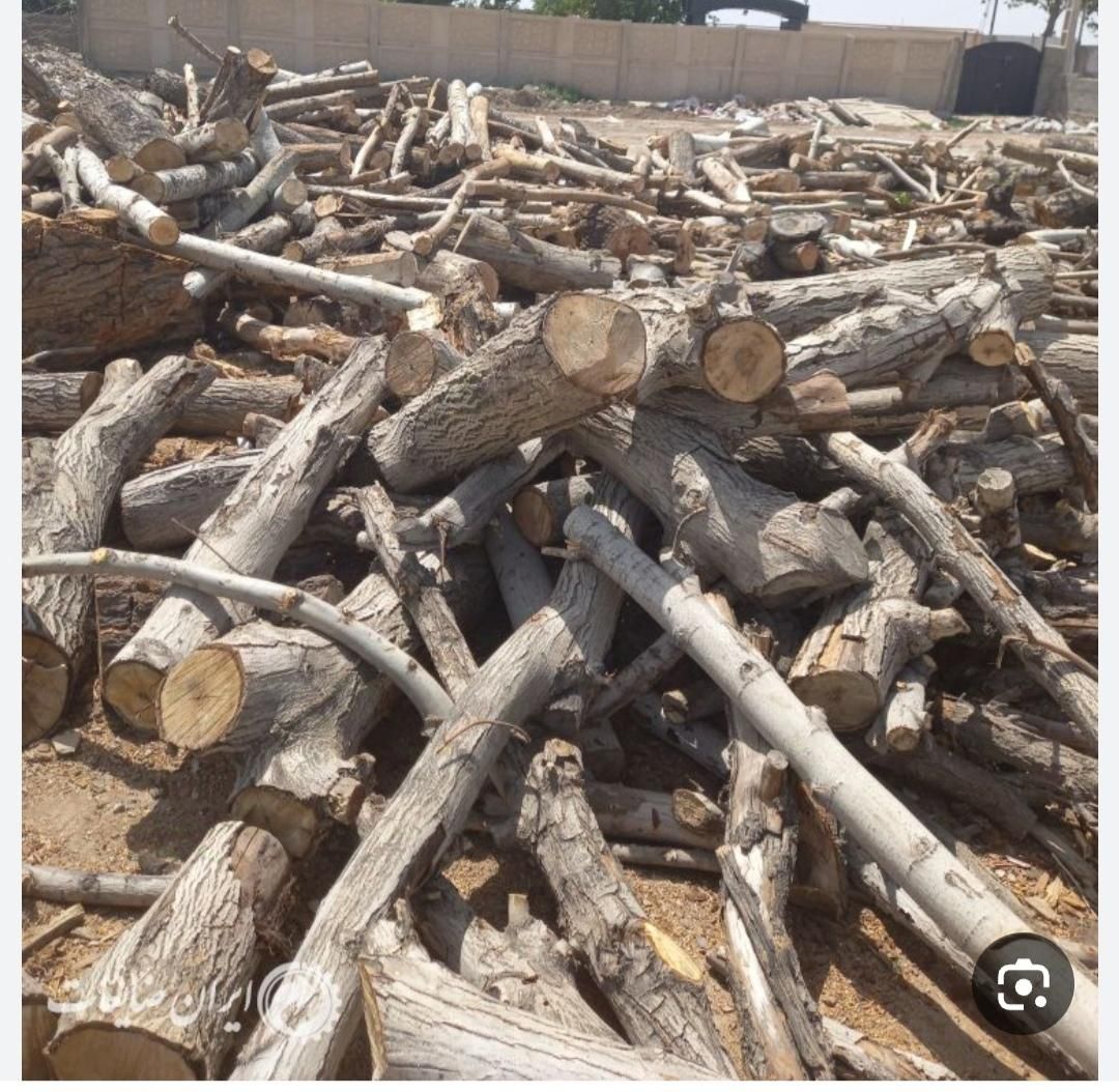 خرید وفروش وبرش انواع چوب|خدمات باغبانی و درختکاری|کامیاران, |دیوار