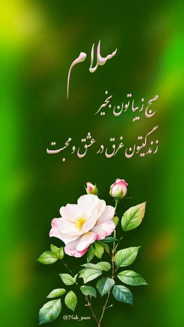 دنبال کارسرایداری آپارتمان یااملاکی ودفتروکالت|استخدام سرایداری و نظافت|تهران, اقدسیه|دیوار