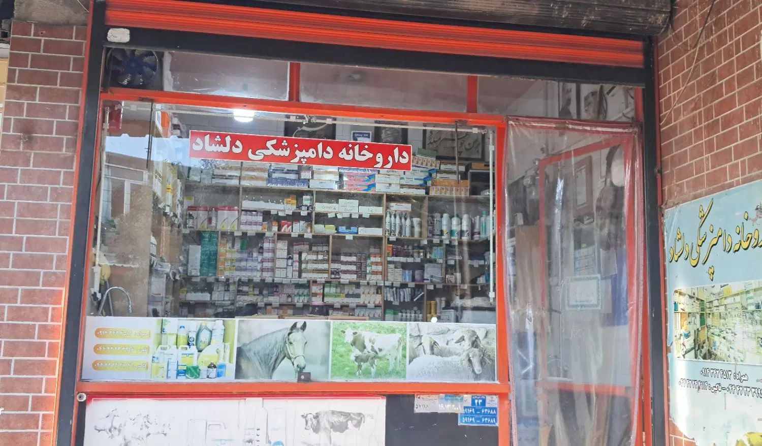 همکارخانم جهت کاردرداروخانە دامپزشکی|استخدام بازاریابی و فروش|مهاباد (آذربایجان غربی), |دیوار
