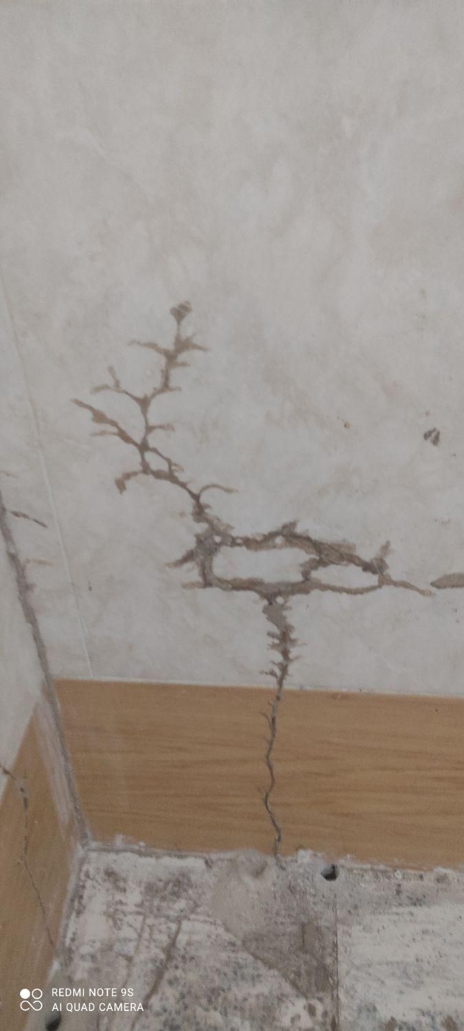 سمپاشی سوسک موریانه سم پاشی ساس با مجوز رسمی|خدمات نظافت|نجف‌آباد, منتظری شمالی|دیوار