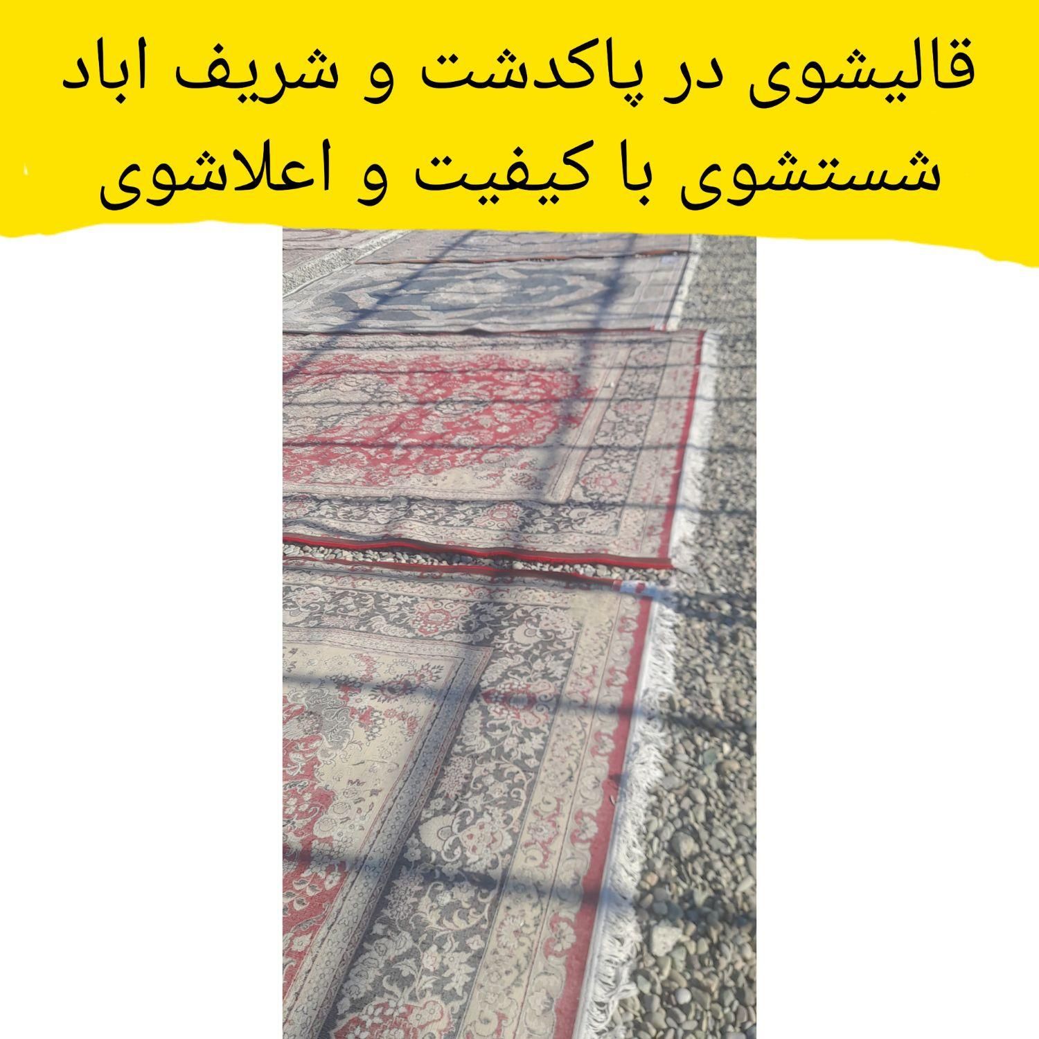 قالیشوی ملایری در پاکدشت و شریف اباد|خدمات نظافت|پاکدشت, پاکدشت (مامازند)|دیوار