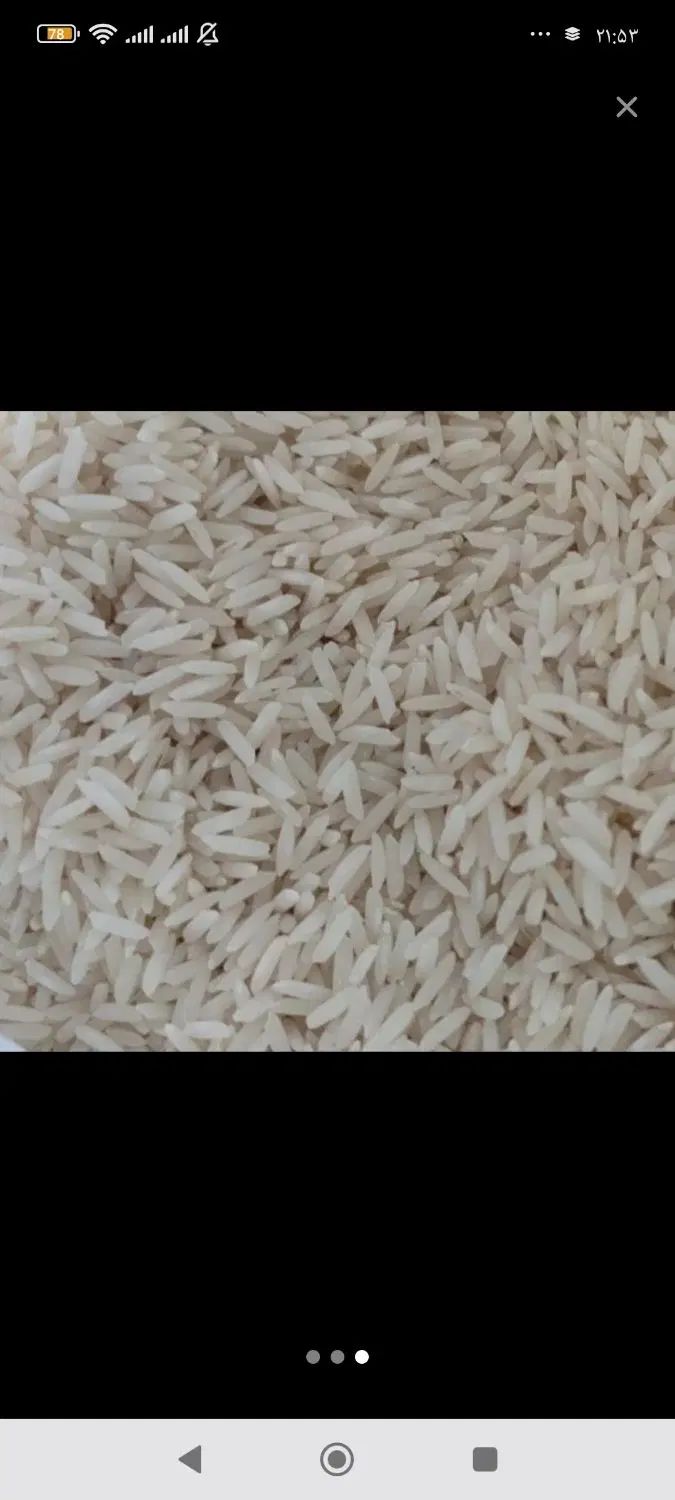 برنج هاشمی درجه یک ارسال به کل کشور|خوردنی و آشامیدنی|اصفهان, نقش جهان|دیوار