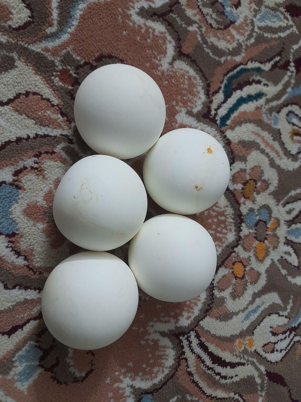 سنگ الماس آسیاب|جواهرات|اصفهان, هفتون|دیوار