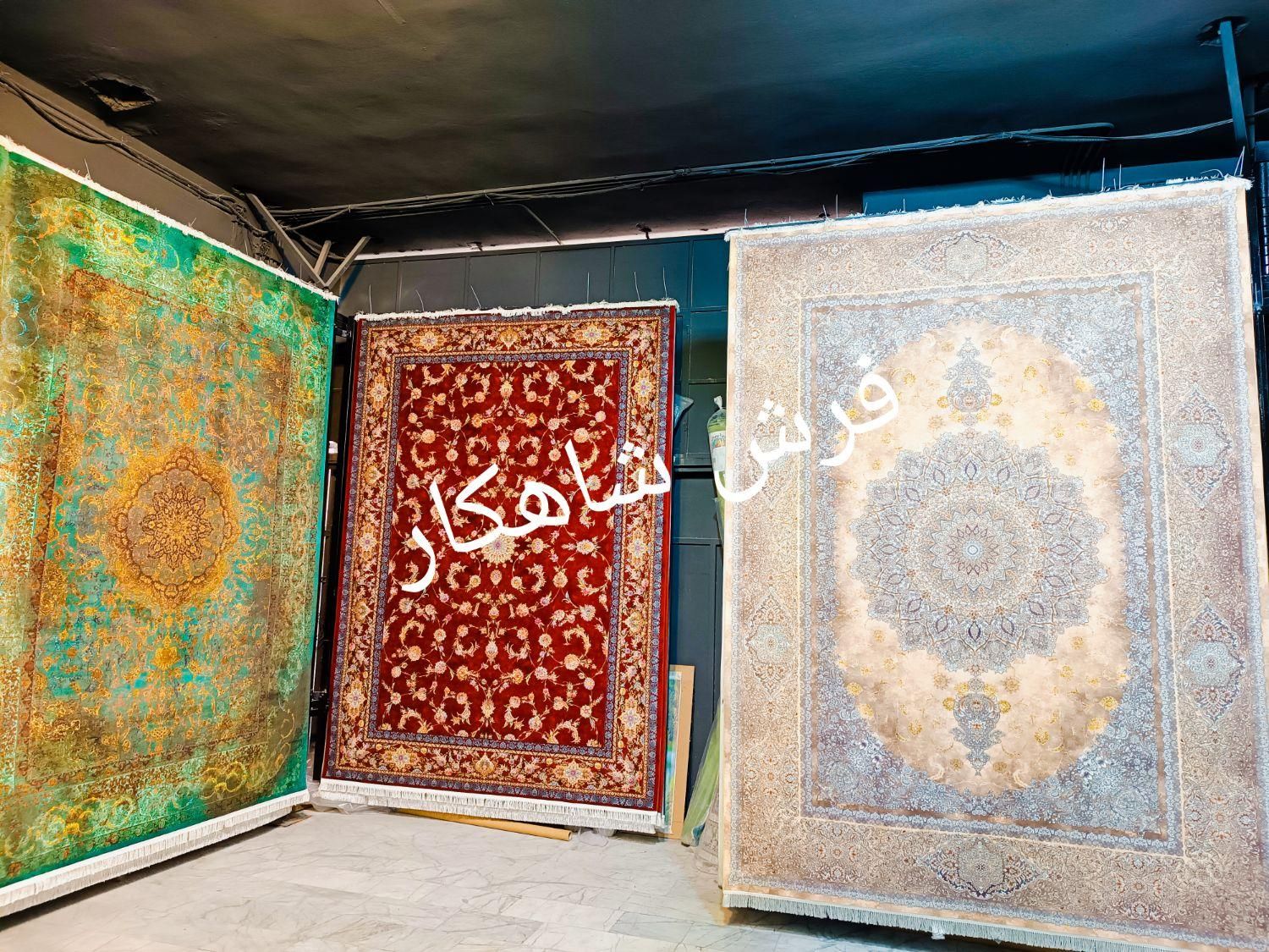 فرش مُحتشم ۱۵۰۰ شانه کد ۳۱۵۷۰ روناسی ۱۲ متری|فرش|شیراز, فرهنگیان|دیوار