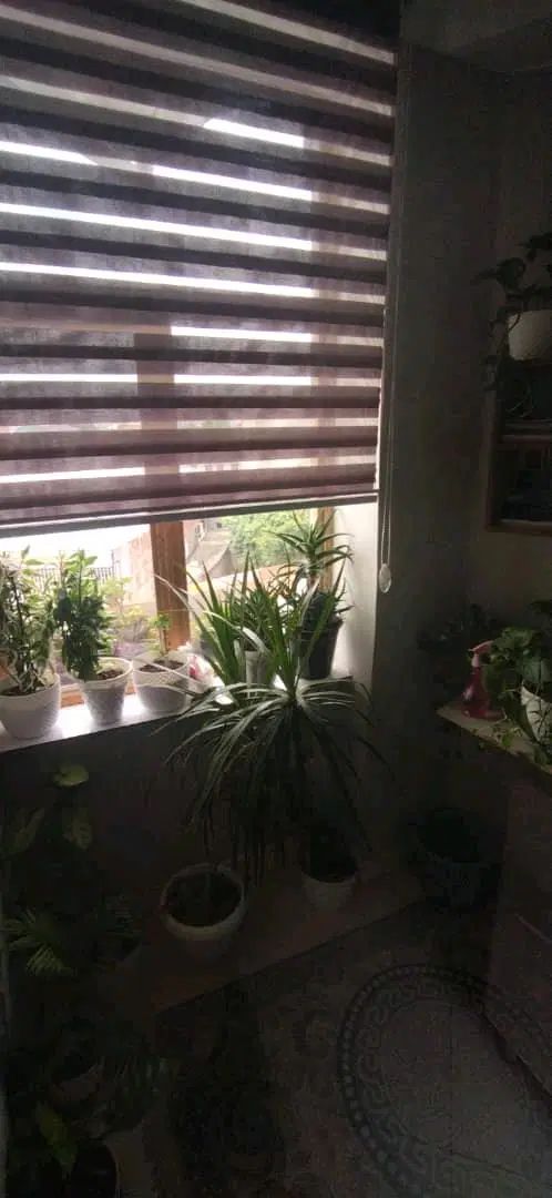 اجاره ۵۸متری تک خواب در فلسطین، لب آب، جانبازان|اجارهٔ آپارتمان|رشت, پاستوریزه|دیوار