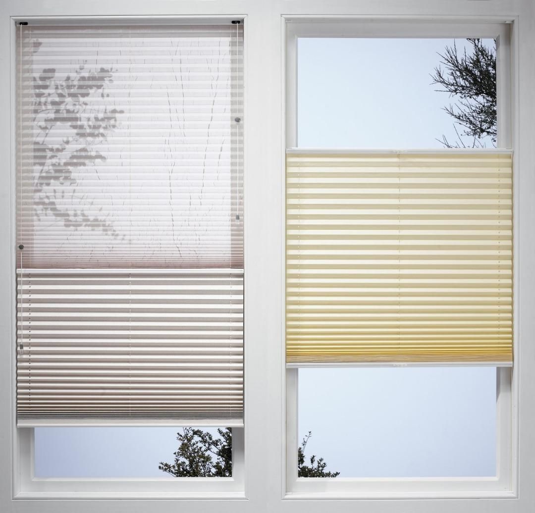 رفت و برگشت دوطرفه|عمدهفروشی|شیراز, باغ تخت|دیوار