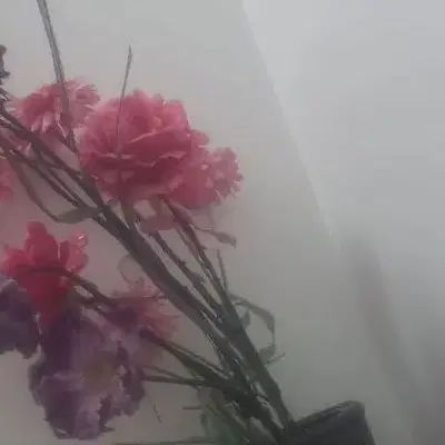 null