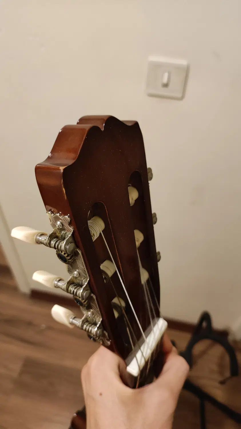 گیتار کلاسیک Takamine G116|گیتار، بیس، امپلیفایر|تهران, شهرآرا|دیوار
