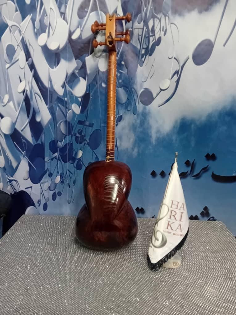 تار ایرانی قدیمی|سازهای سنتی|زنجان, |دیوار