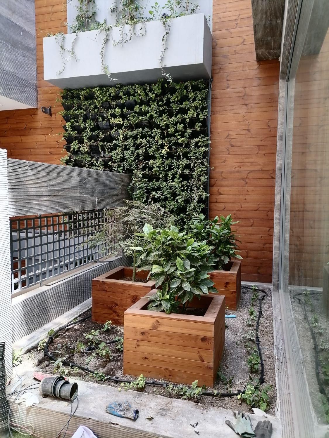 آبیاری قطره ای بارانی هوشمند دیوار سبز گلخانه|خدمات باغبانی و درختکاری|مشهد, سجاد شهر|دیوار