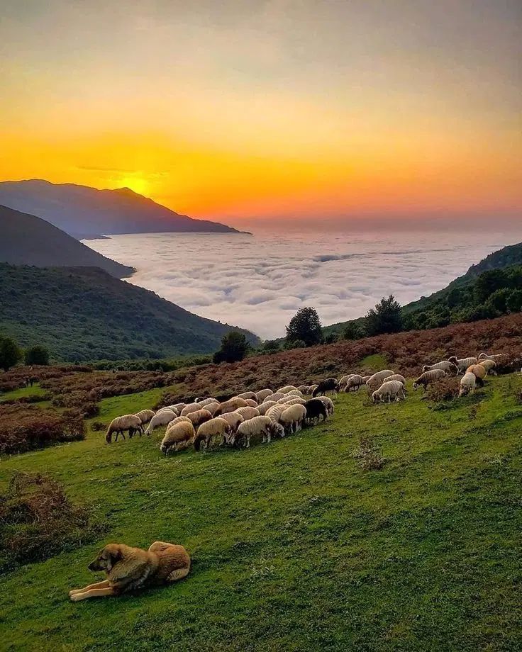 تور تهرانگردی و تور خارجی و داخلی|تور و چارتر|تهران, تجریش|دیوار