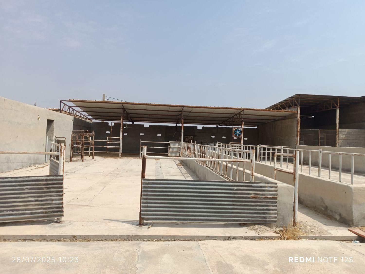 فروش دامداری درامیدیه|فروش دفتر صنعتی، کشاورزی، تجاری|اهواز, نیوساید|دیوار