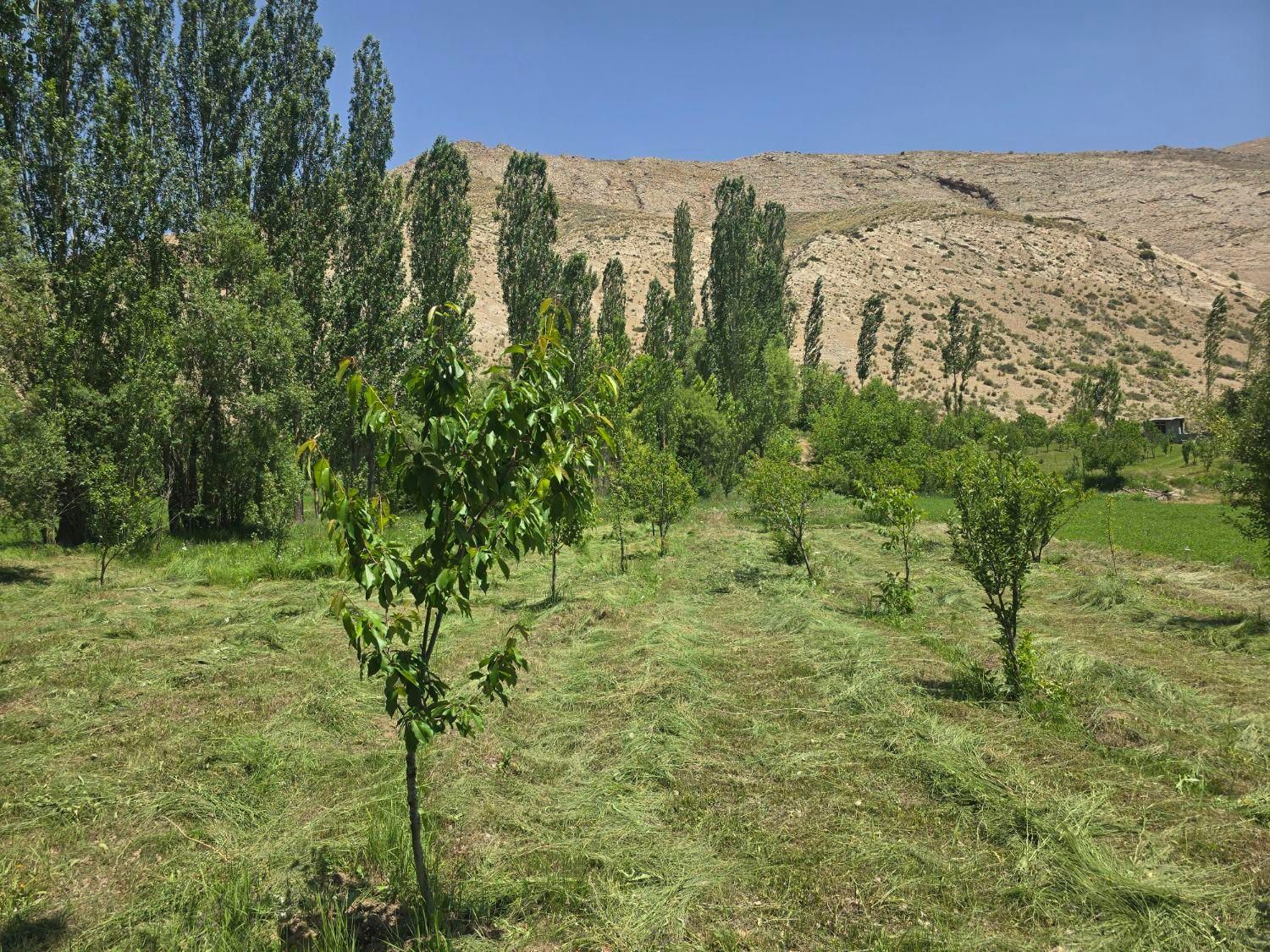 فروش زمین ۱۴۵۰ متری در فیروزکوه شهر ارجمند|فروش زمین و ملک کلنگی|تهران, هاشم‌آباد|دیوار