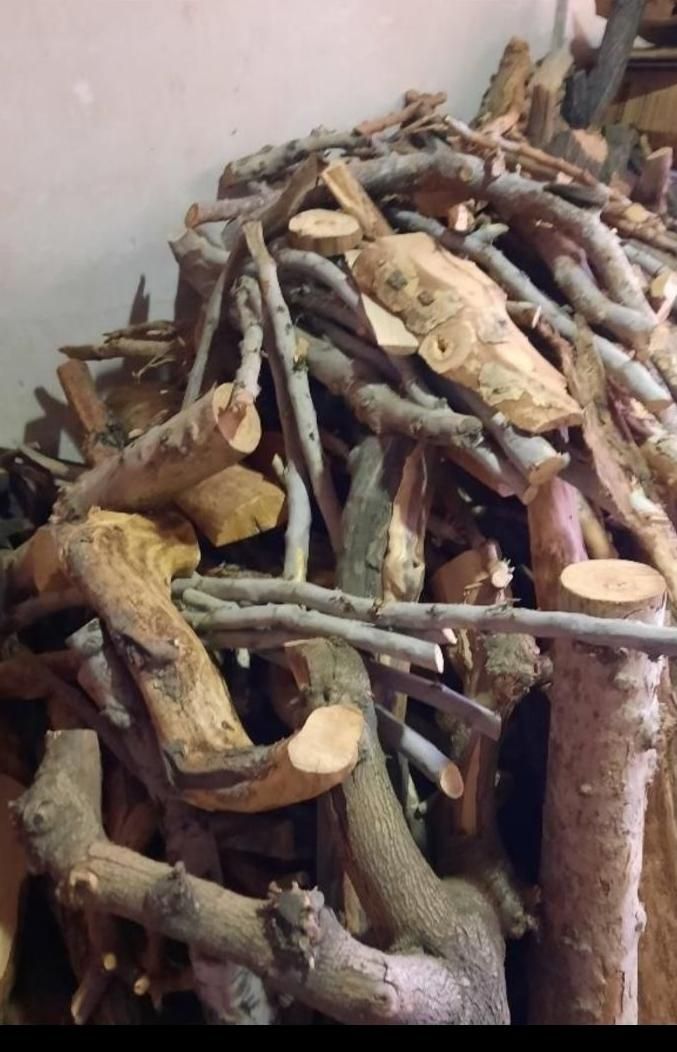 خریدار چوب باغی و هزیزمی ومرکبات گردو سیب و غیره|خدمات باغبانی و درختکاری|شهریار, کرد امیر|دیوار