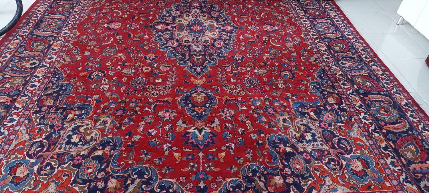فرش مشهد کارکرده|فرش|بناب, |دیوار