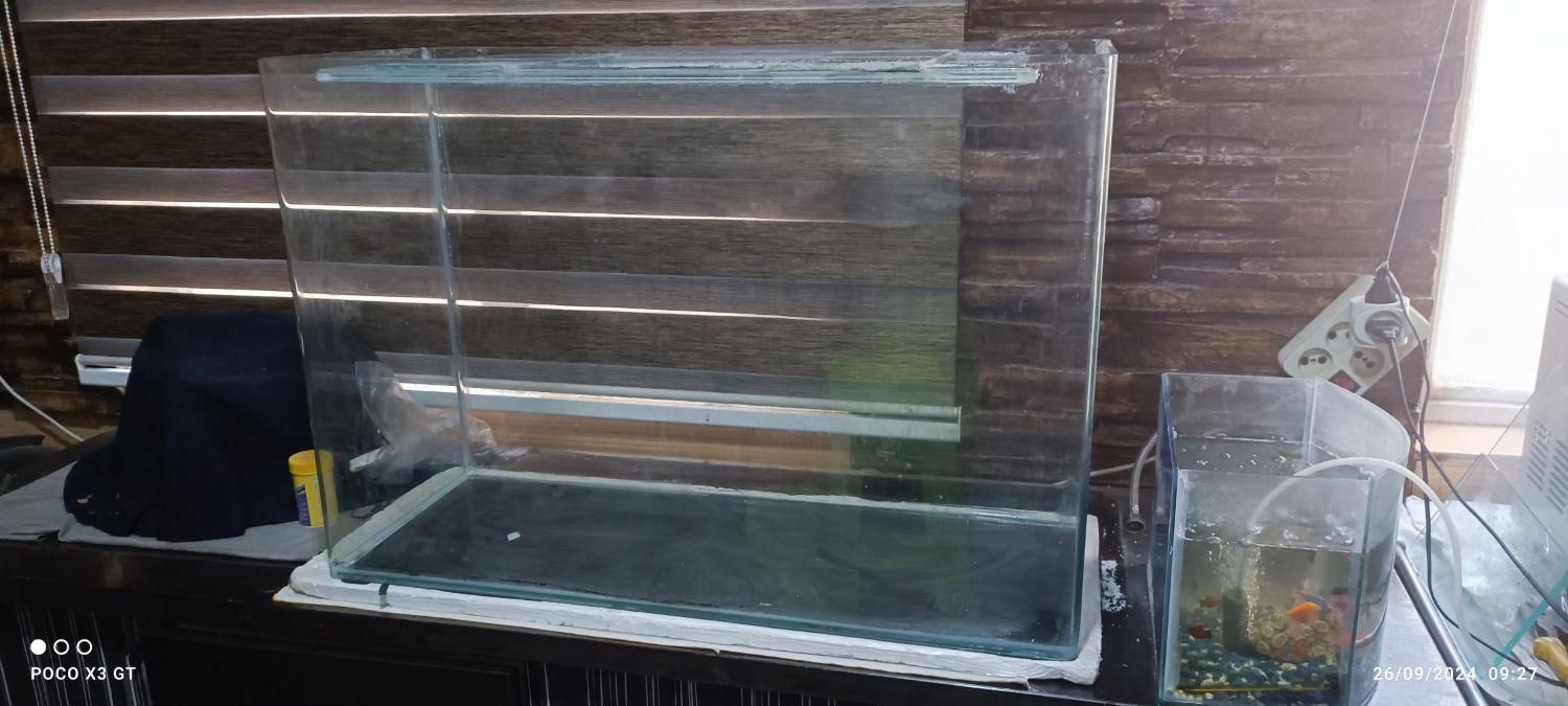 آکواریوم شیشه. خم|ماهی|اسلام‌شهر, شهرک الهیه|دیوار