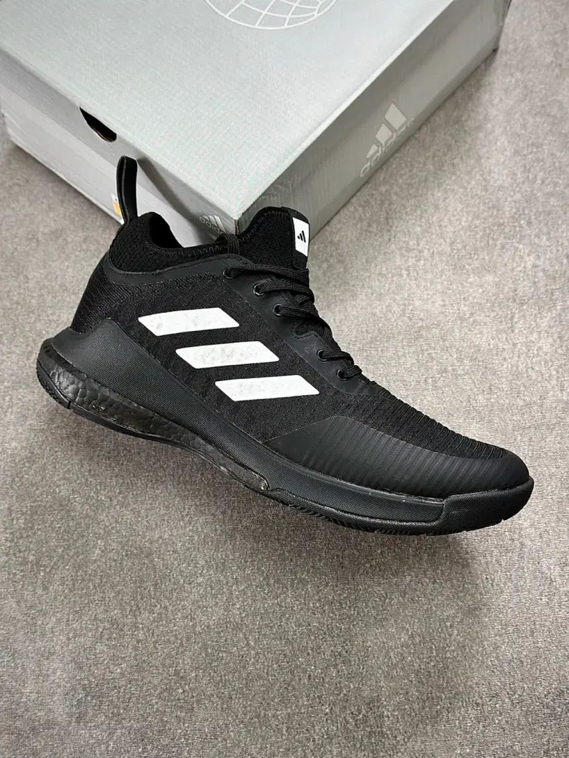 کفش والیبال آدیداس مدل Adidas Crazy Flight|کیف، کفش، کمربند|اصفهان, درب کوشک|دیوار