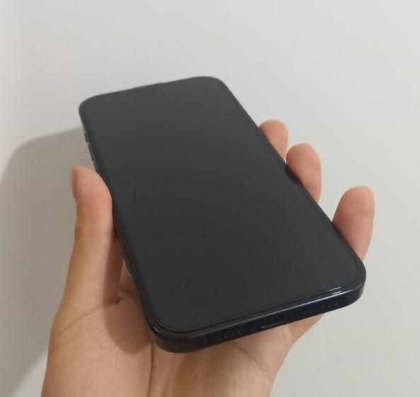 اپل iPhone 15 Pro Max با حافظهٔ ۲۵۶ گیگابایت|موبایل|رشت, رودبارتان|دیوار
