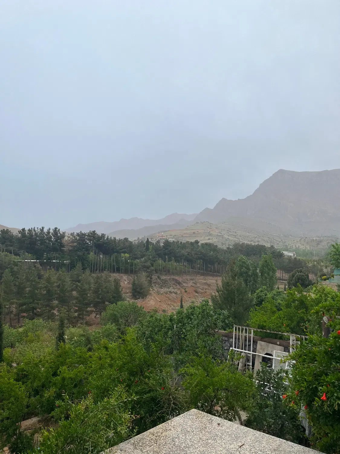 فروش زمین مسکونی ۲۰۰ متری قلات، کوچه ۴ گلستان|فروش زمین و ملک کلنگی|شیراز, قلات|دیوار