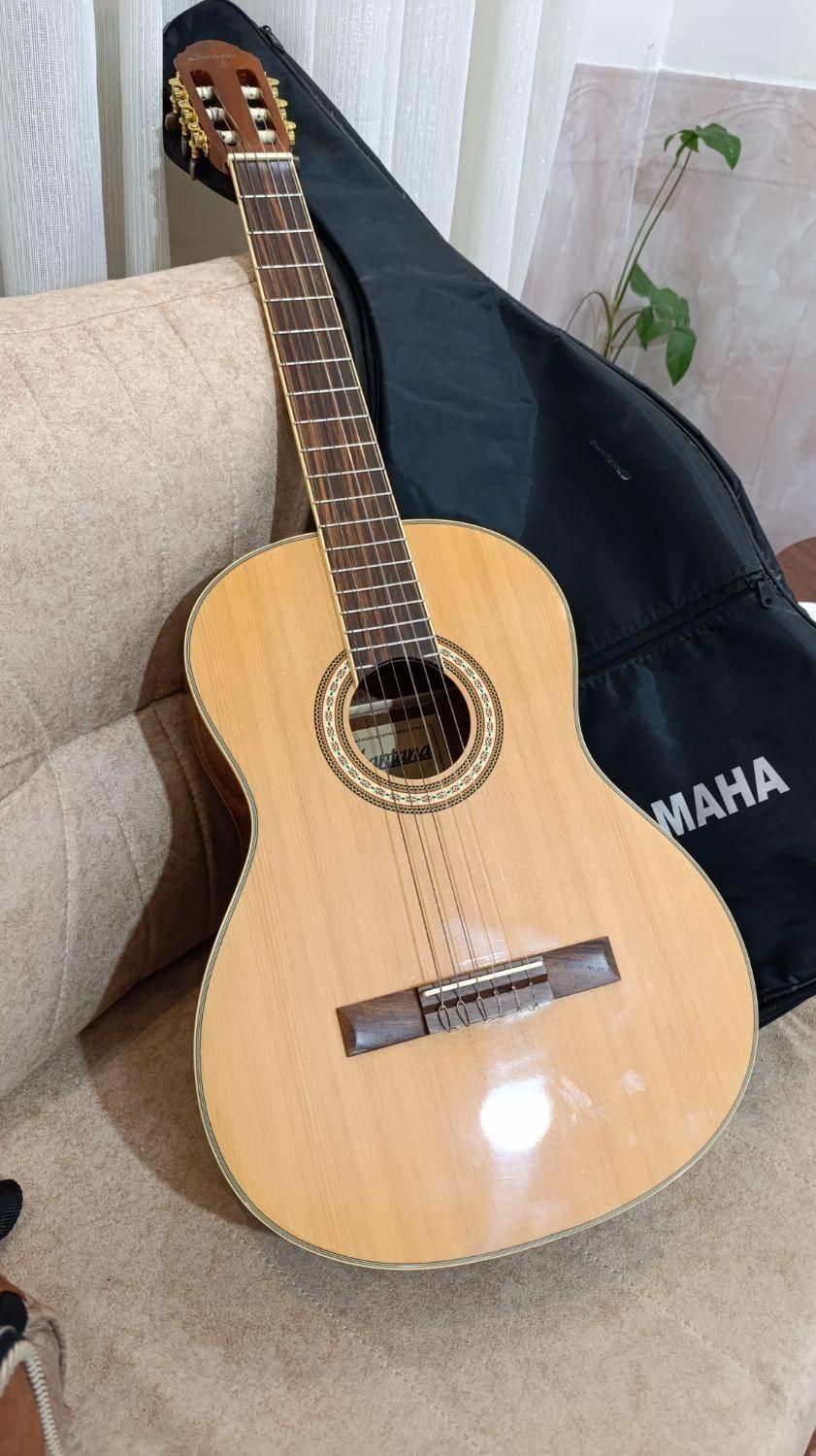 گیتار|گیتار، بیس، امپلیفایر|شاهرود, |دیوار