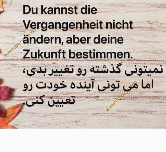 آموزش زبان آلمانی حضوری و آنلاین مشاوره جهت مهاجرت|خدمات آموزشی|شیراز, معالیآباد|دیوار