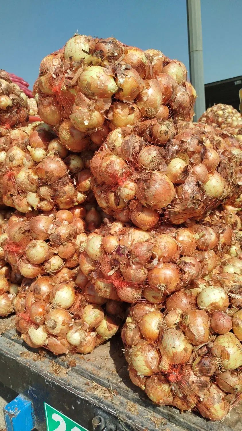 پیاز به قیمت مناسب زیر قیمت میدان تره بار|خوردنی و آشامیدنی|رباط‌کریم, رباط‌کریم|دیوار
