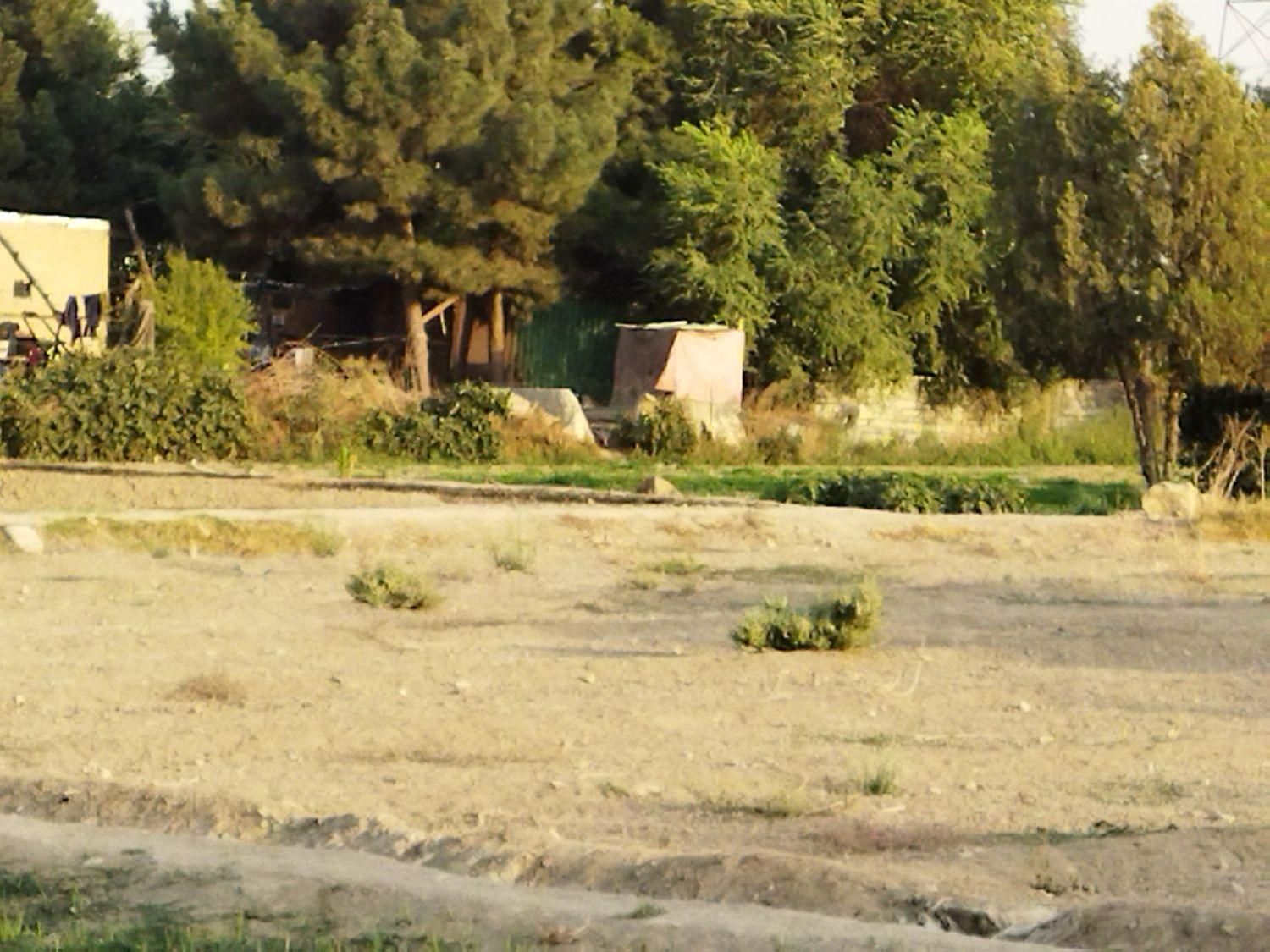 فروش ۴۸۵ متری در شهرک ابوذر|فروش دفتر صنعتی، کشاورزی، تجاری|تهران, شهرک ابوذر|دیوار