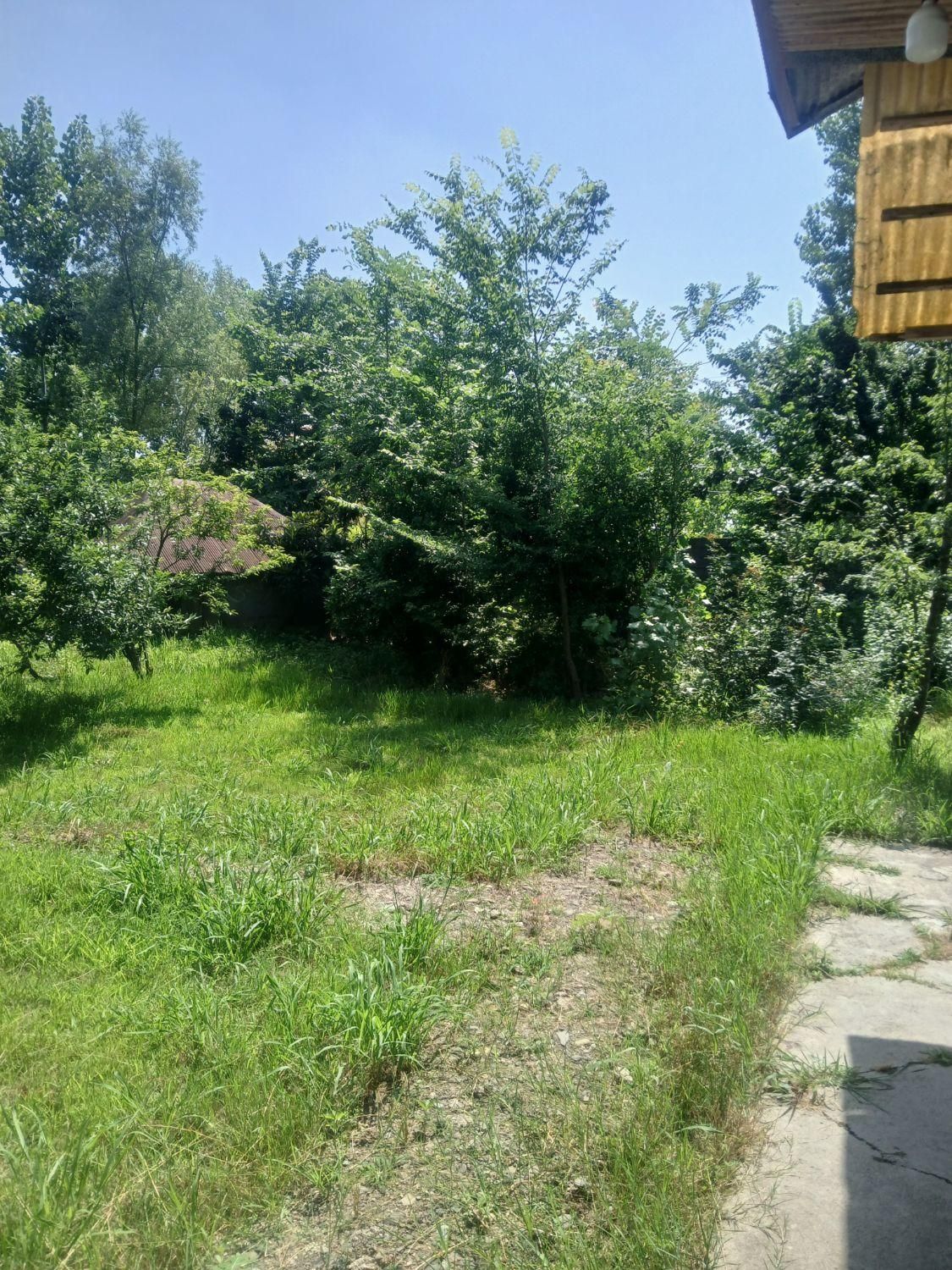 اجاره روزانه/هفتگی/ماهانه ویلا ۸۰ متری در لاکان|اجارهٔ کوتاهمدت ویلا و باغ|رشت, لاکان|دیوار