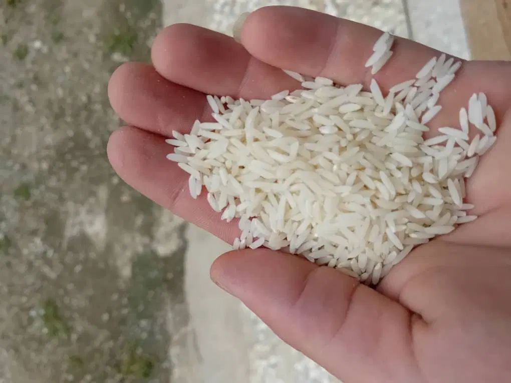 برنج هاشمی|خوردنی و آشامیدنی|تهران, اکباتان|دیوار