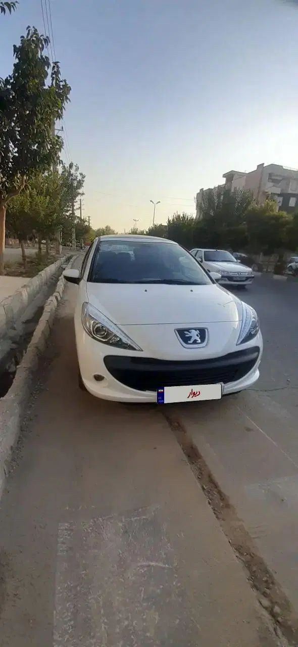 207 پانا ۱۴۰۴ بیرنگ|خودرو سواری و وانت|کرج, ساماندهی|دیوار