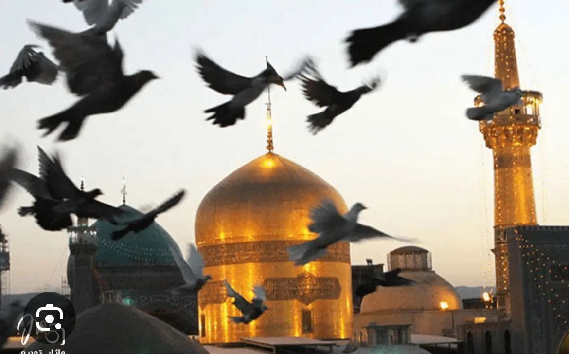 راهنمایی کنید برای سفر مشهد|تور و چارتر|تهران, زعفرانیه|دیوار