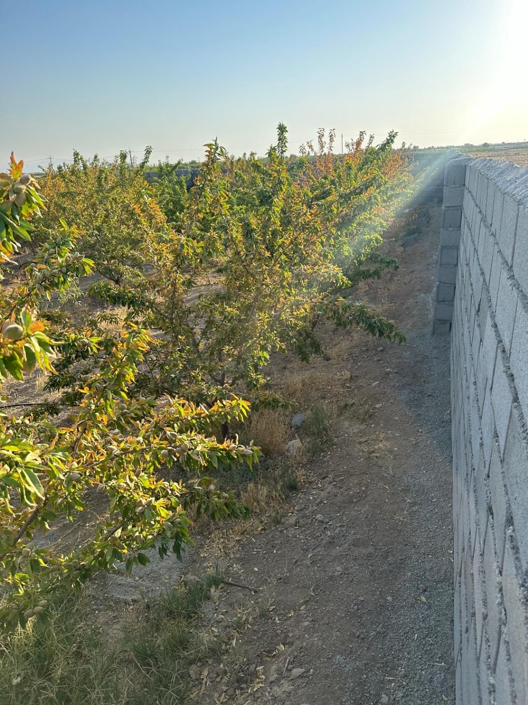 باغ ا ویلا شبستر|فروش خانه و ویلا|شبستر, |دیوار