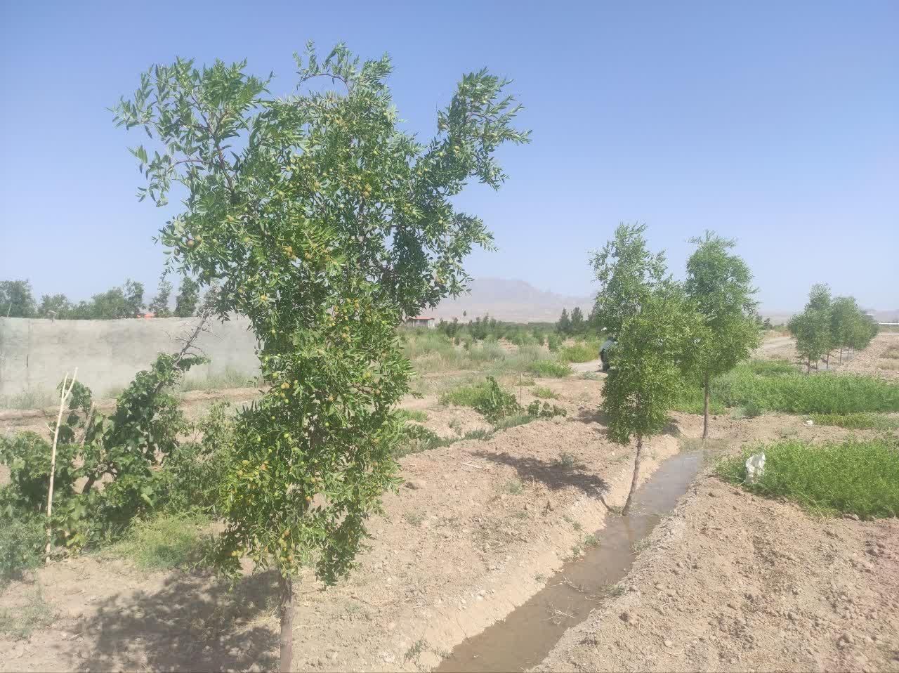 تصویر 7