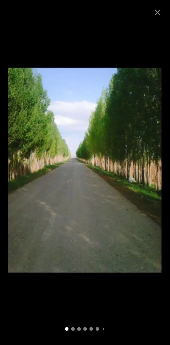 فروش۳دانگ چاه کشاورزی و خونه و مزرعه روستای تیران.|فروش دفتر صنعتی، کشاورزی، تجاری|الیگودرز, |دیوار