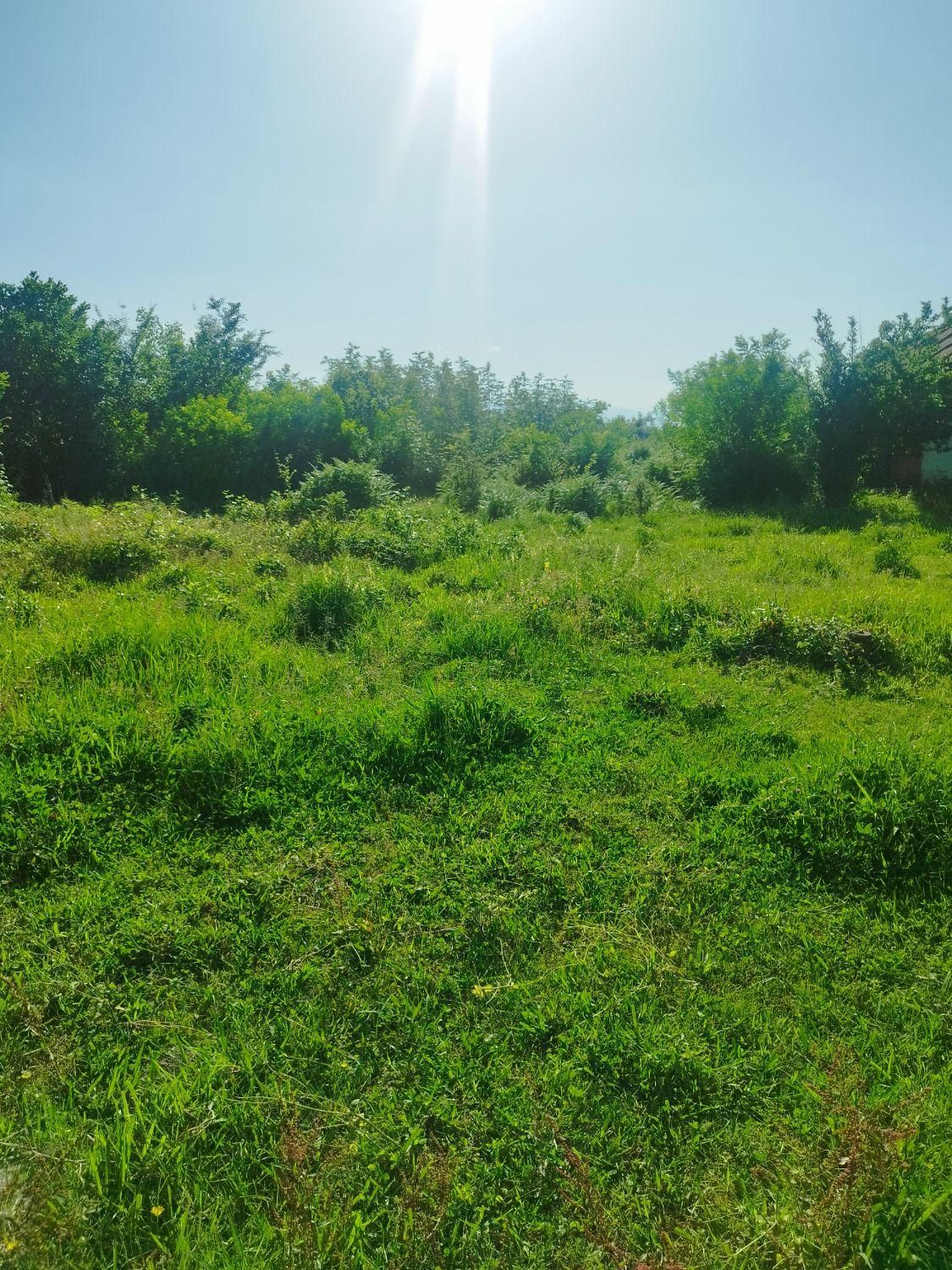 350مترزمین بابنای کلنگی روستایی نزدیک شهر|فروش زمین و ملک کلنگی|رضوانشهر, |دیوار