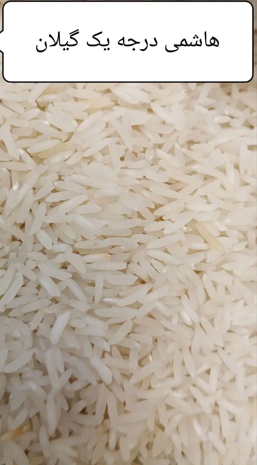 برنج سالم هاشمی گیلان درجه یک|خوردنی و آشامیدنی|مشهد, پنجتن|دیوار