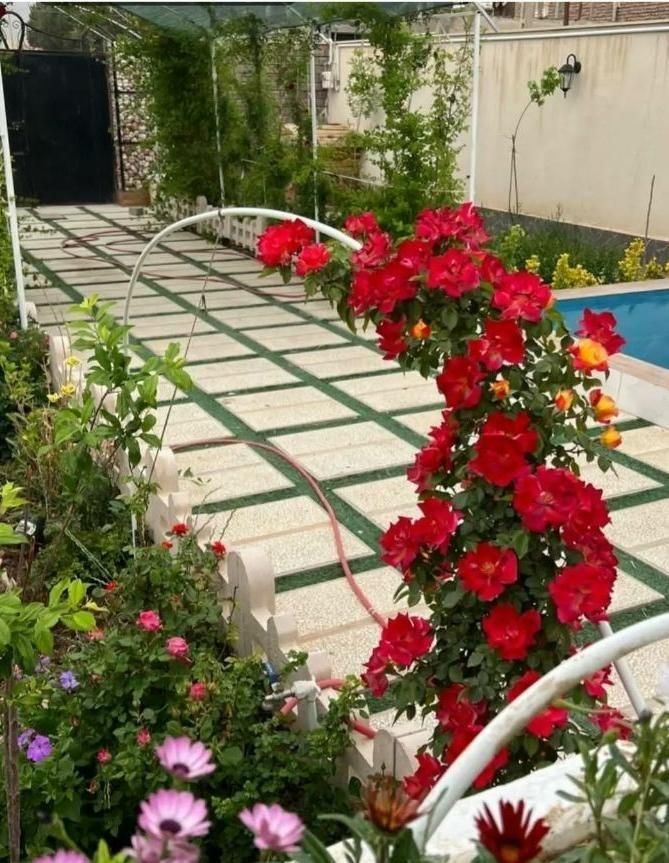 تصویر 9