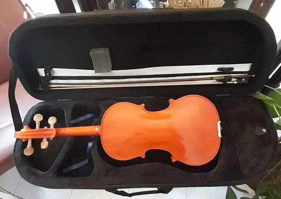 ویولن handmade کارگاهی آرشه ۸ پر hardcase|ویولن|اصفهان, نقش جهان|دیوار