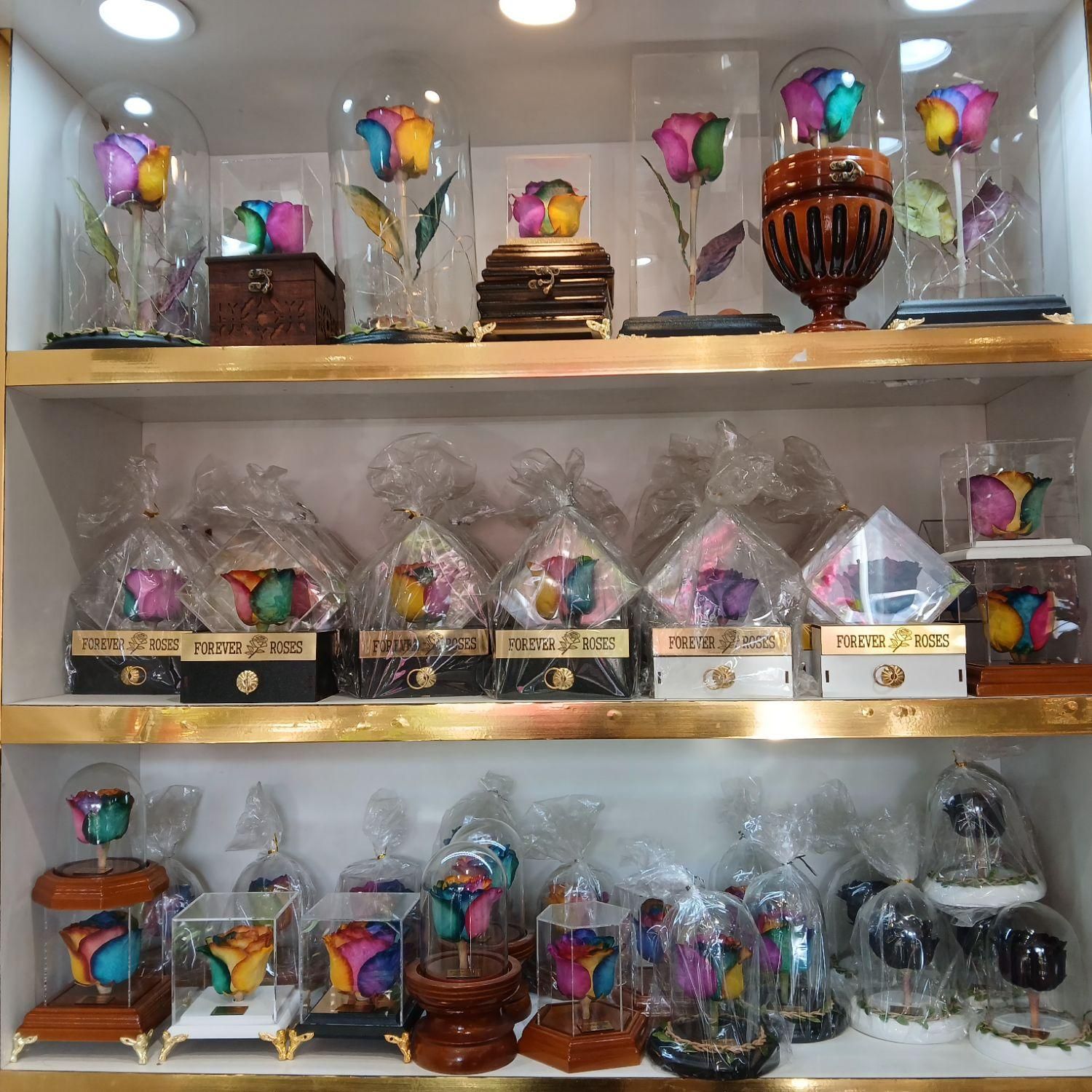 گل رز جاودان|گل و گیاه طبیعی|قم, باجک یک|دیوار