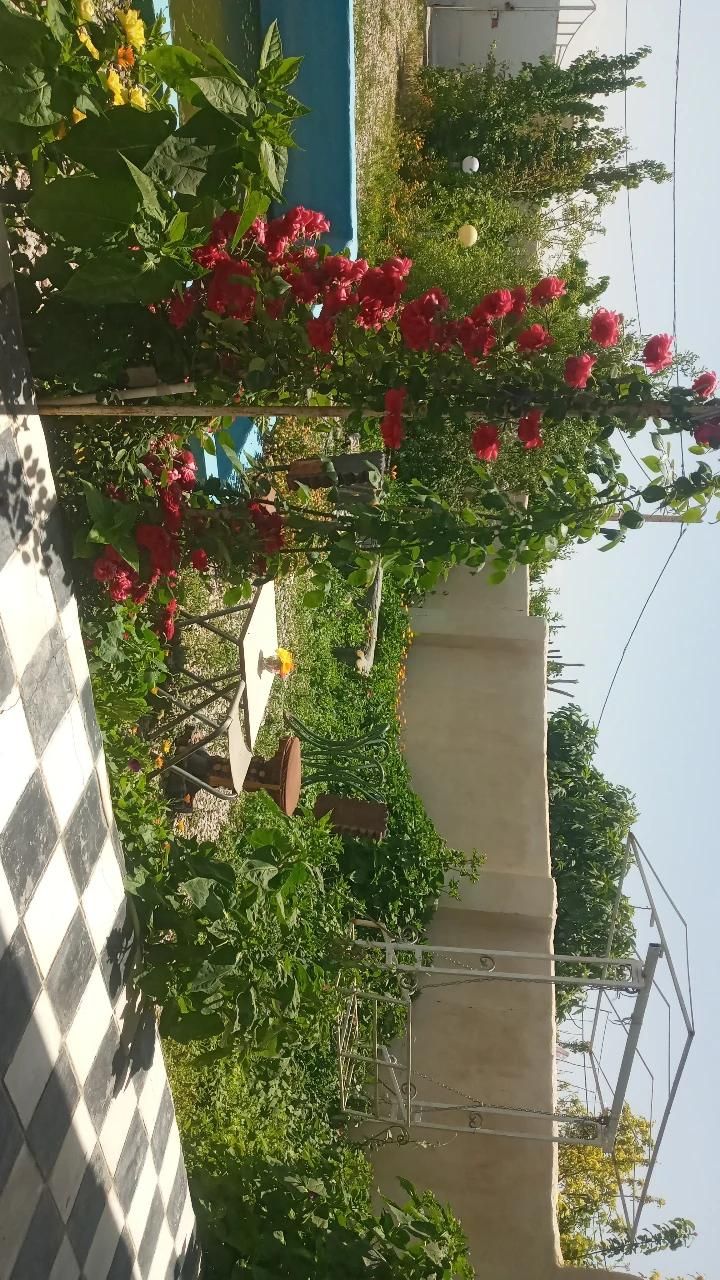 فروش خانه ویلایی استخردار|فروش خانه و ویلا|شیروان (خراسان), |دیوار