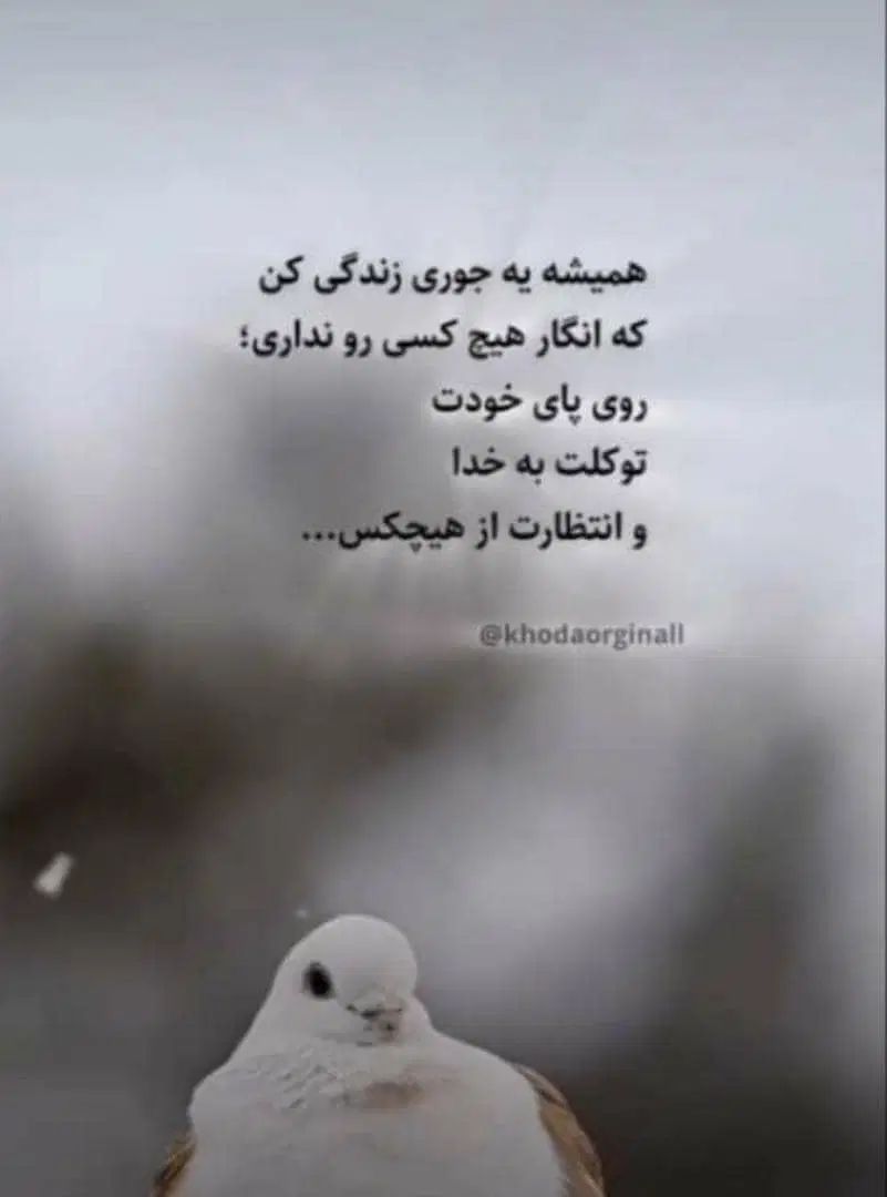 کارهای غیر حضوری و خدمات اینترنتی و کافی نتی|خدمات رایانه‌ای و موبایل|یاسوج, |دیوار