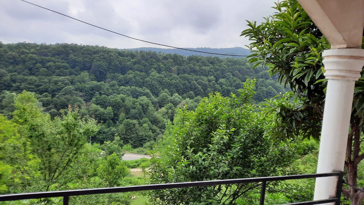 ویلا جنگلی/شبانه/روزانه/وییو کامل جنگل|اجارهٔ کوتاهمدت ویلا و باغ|چالوس, |دیوار