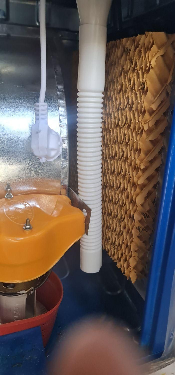 پدسلولزی پوشال کولر کولرسلولزی مشهددوام انرژی|کولر آبی|مشهد, شهید آوینی|دیوار