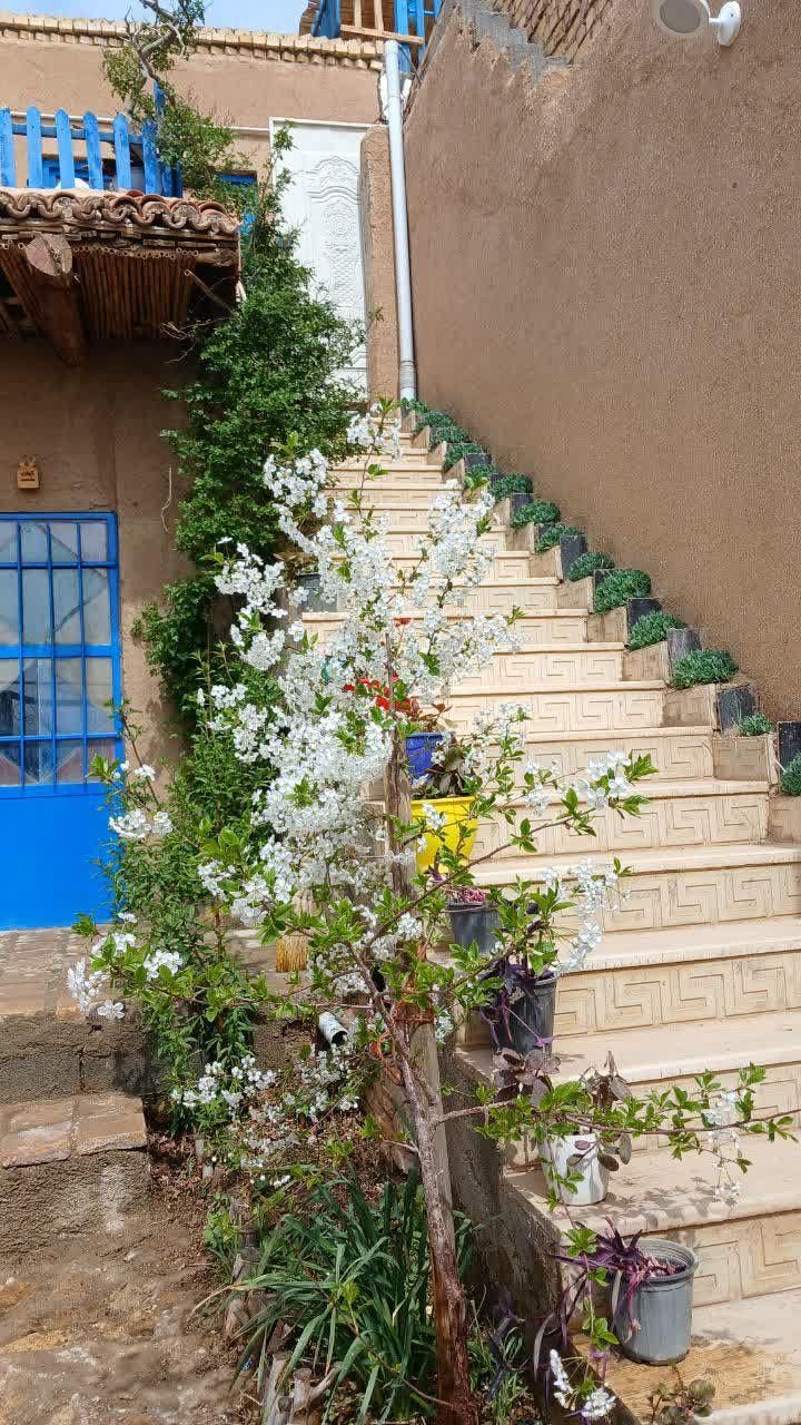 اقامتگاه هیلان روستای ابر|اجارهٔ کوتاه‌مدت ویلا و باغ|شاهرود, |دیوار