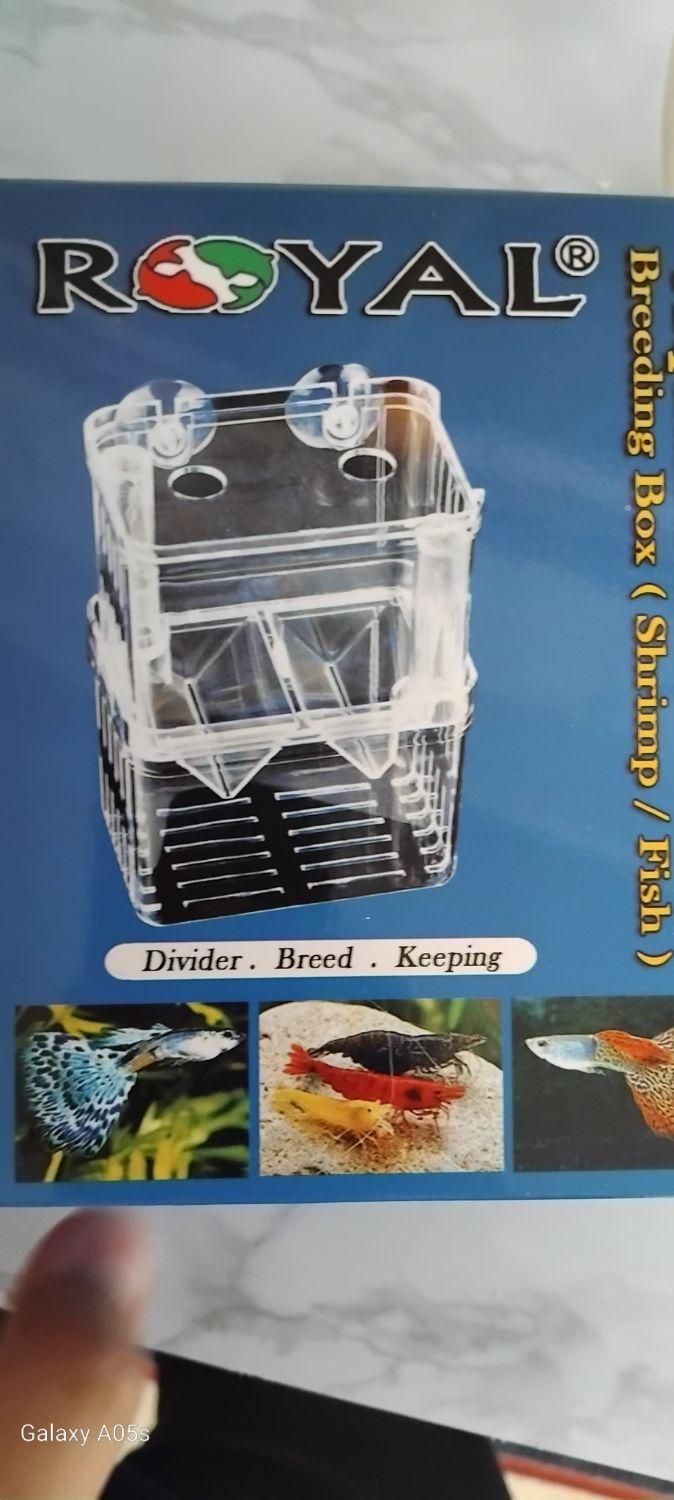 آکواریوم شیشه خم با لوازم|ماهی|بروجرد, |دیوار