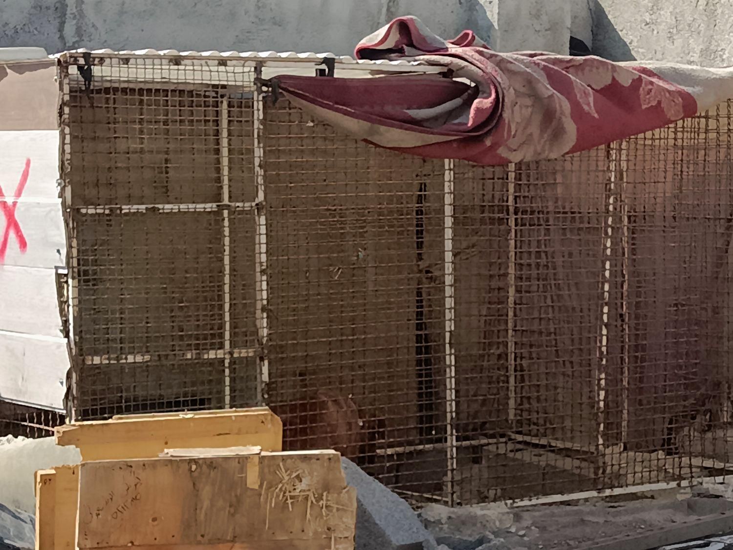 قفس|لوازم جانبی حیوانات|اردبیل, |دیوار