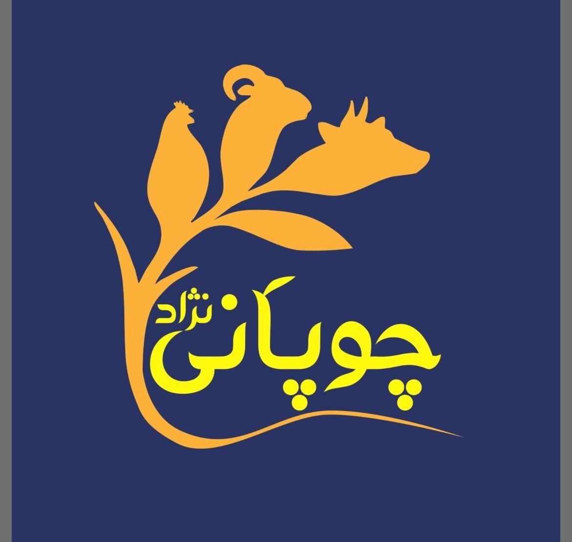 استخدام در پروتئینی و کبابسرا|استخدام خدمات فروشگاه و رستوران|بهبهان, |دیوار